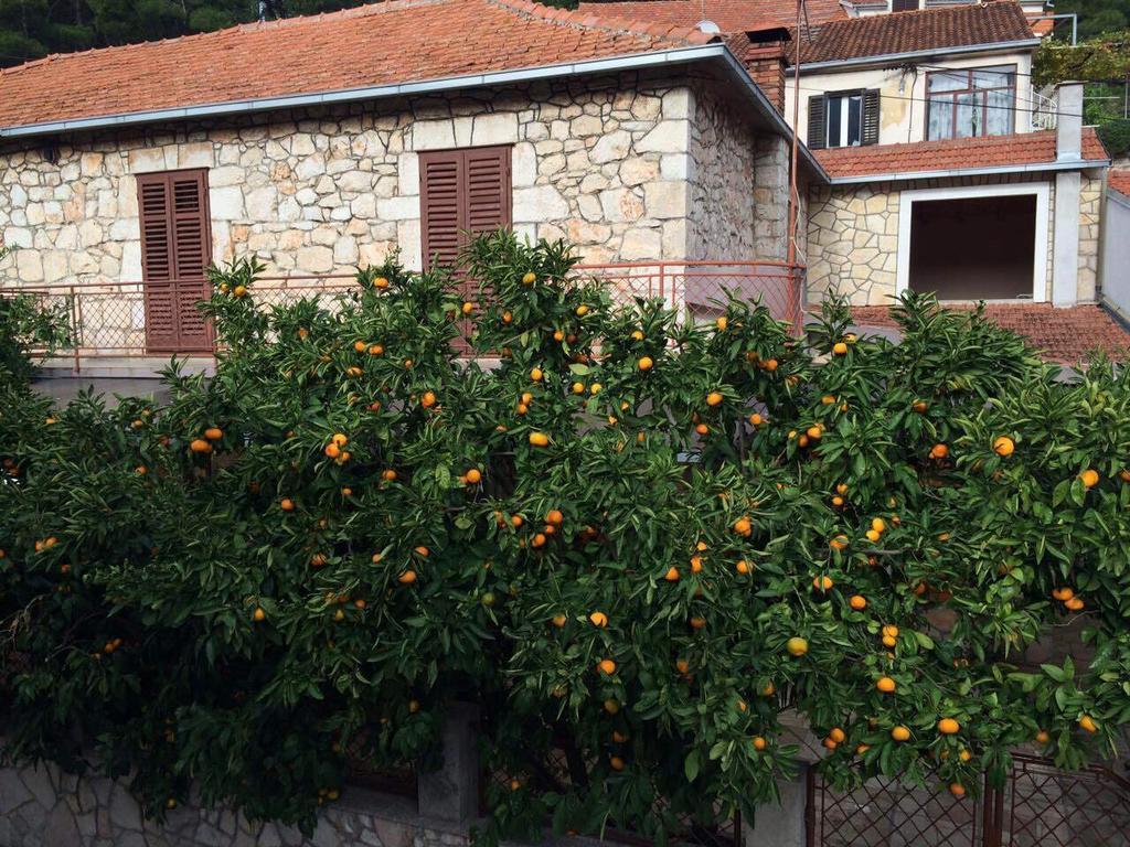 Holiday Home Leonida Jelsa  Εξωτερικό φωτογραφία